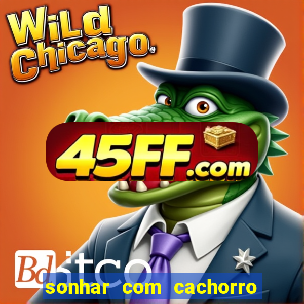 sonhar com cachorro morto jogo do bicho